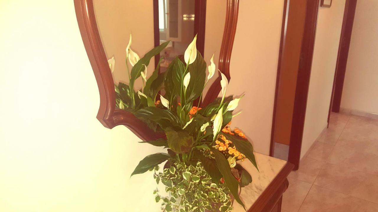 Apartamento A Canteira オ・グローベ エクステリア 写真